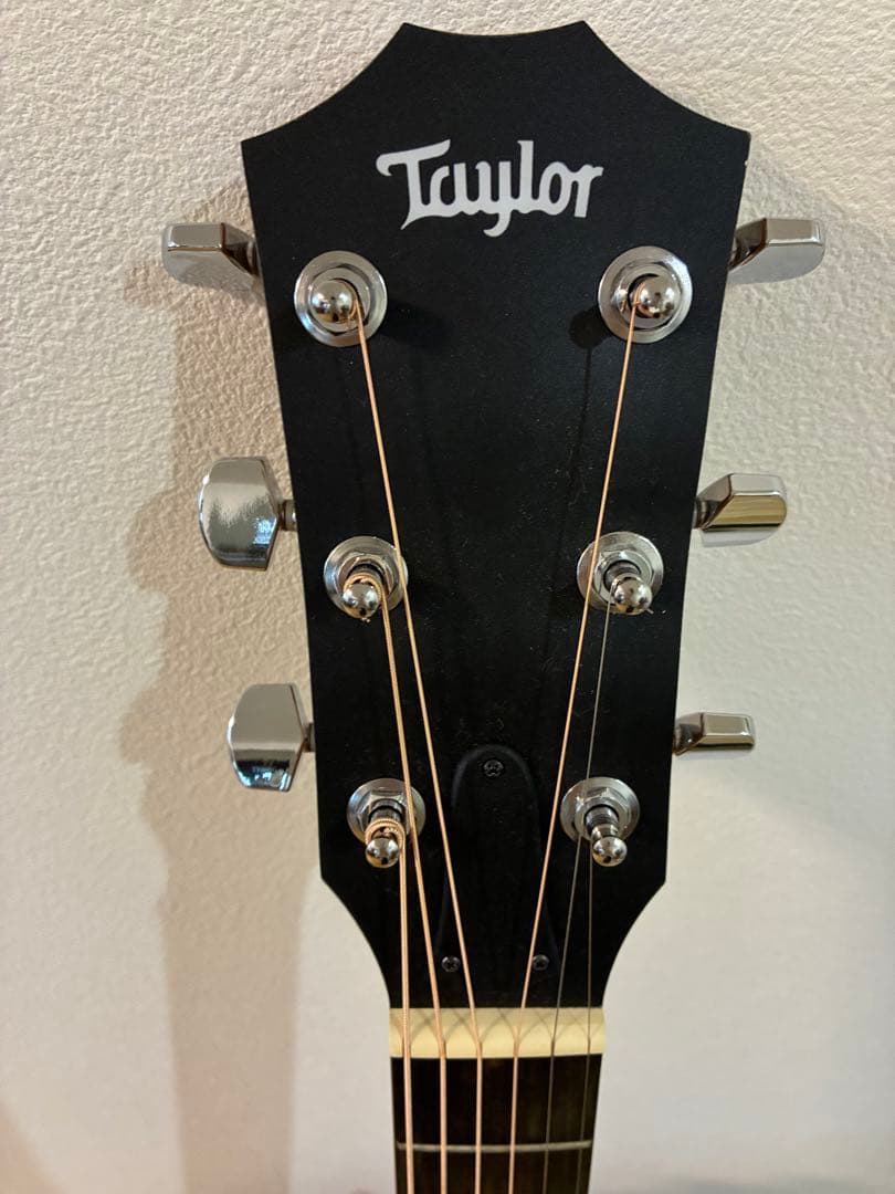 Taylor アコースティックギター(ケース、換えの弦あり)