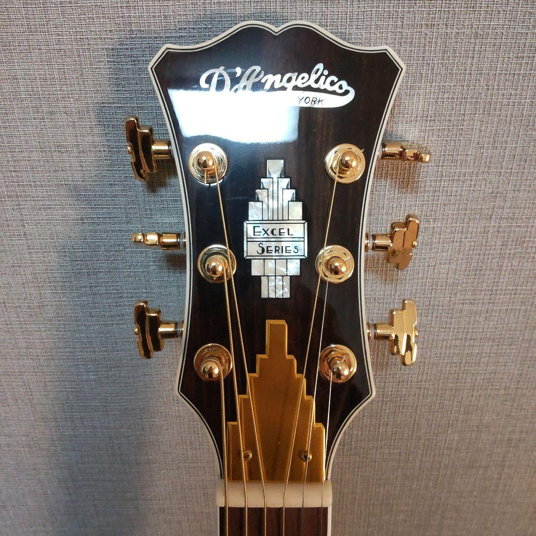 ギター D'angelico EXCEL tammany xt
