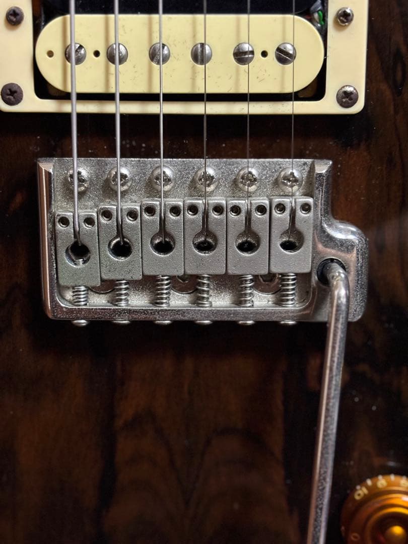 PRS SE Custom24 Ziricote Top 限定モデル