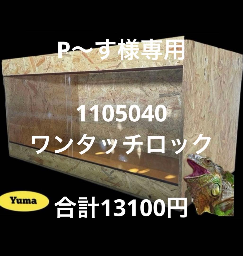 P～す　1105040