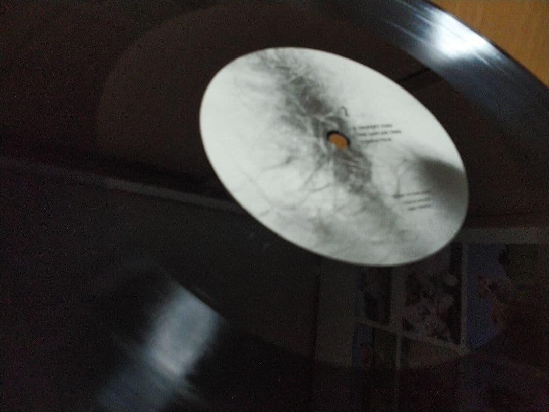 THE HAFLER TRIO．A THIRSTY FISH．レコード！