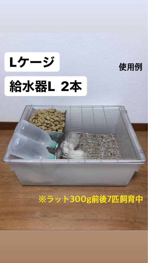 Lケージ マウス・ラット・ハムスター 飼育ケージ