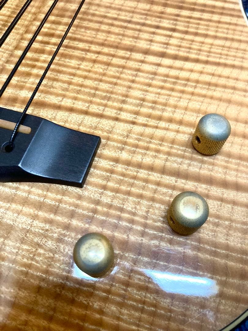 Carvin AC-50 (フレットレス)