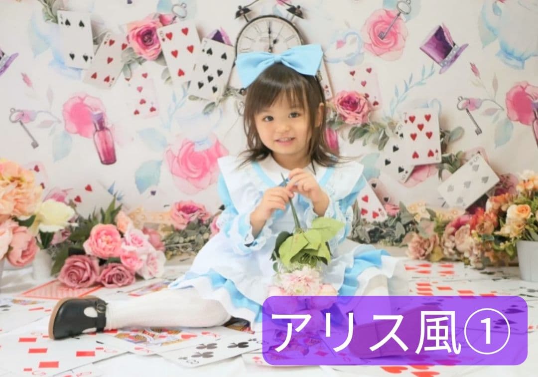 背景布×10枚+2枚プレゼント　ペット撮影用ブース　トリミングチョーカーも販売中