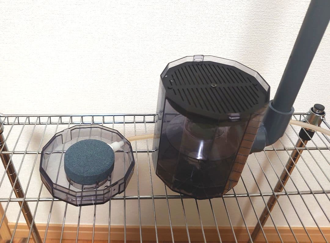 大好評！　フィッシュレット大改造