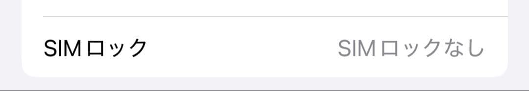 iPhone16 本体