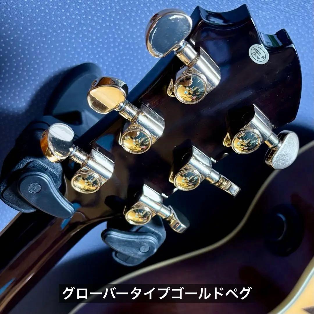【美品エレアコ】James J500A/ova トップ単板　ソフトケース付き