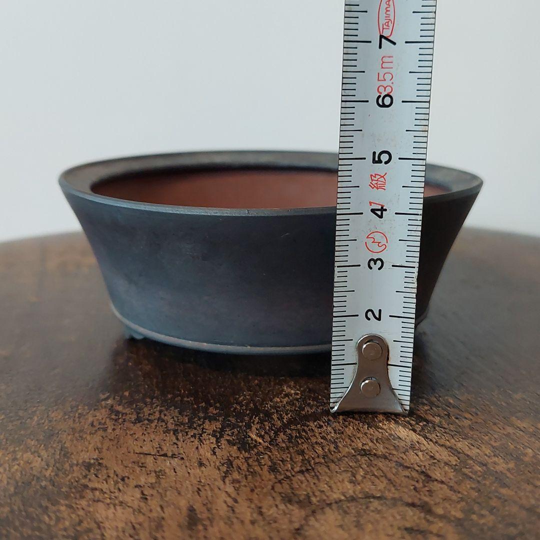盆栽鉢　盆栽