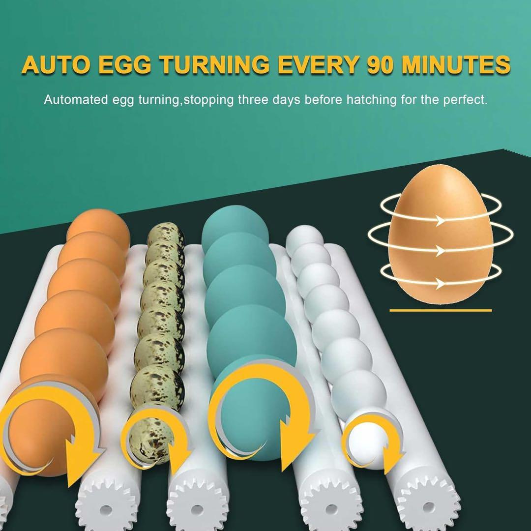 EGG INCUBATOR 最大12個用 自動湿度管理