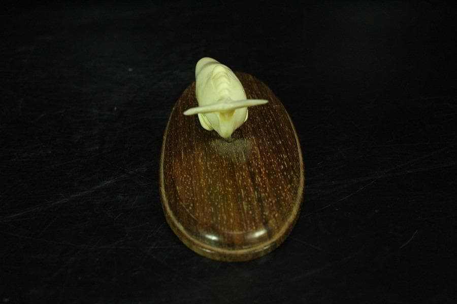 抹香鯨 歯 細密 彫刻 鯨 置物 根付 台付(K-A995)