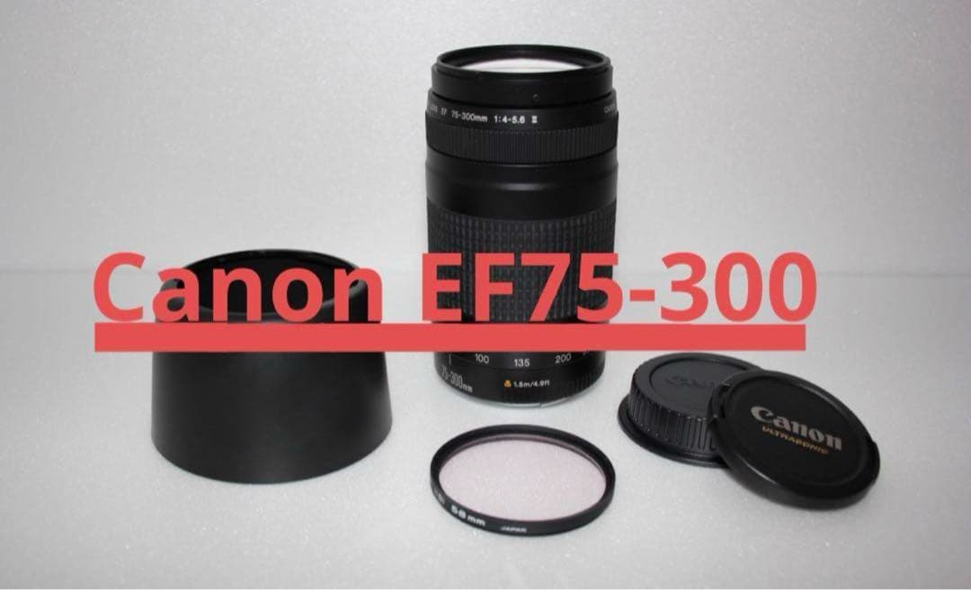 イベント/望遠レンズ/美品/スポーツ/Canon EF75-300㎜