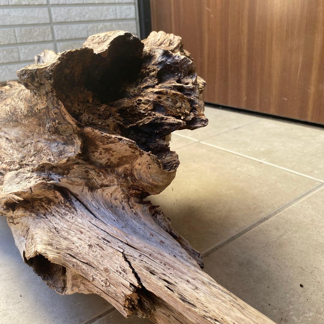 【ハマ流木】