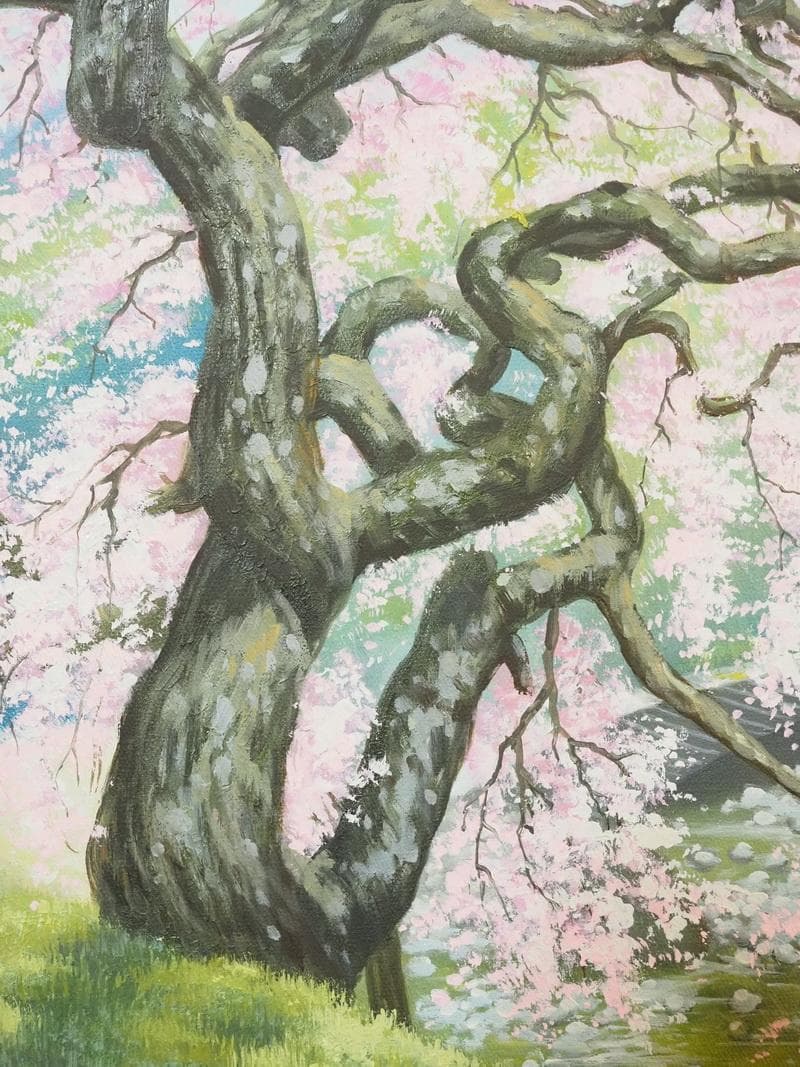 【値下げ】 風景画　油絵　中島千波　桜花　F8　額付き　手描き　肉筆