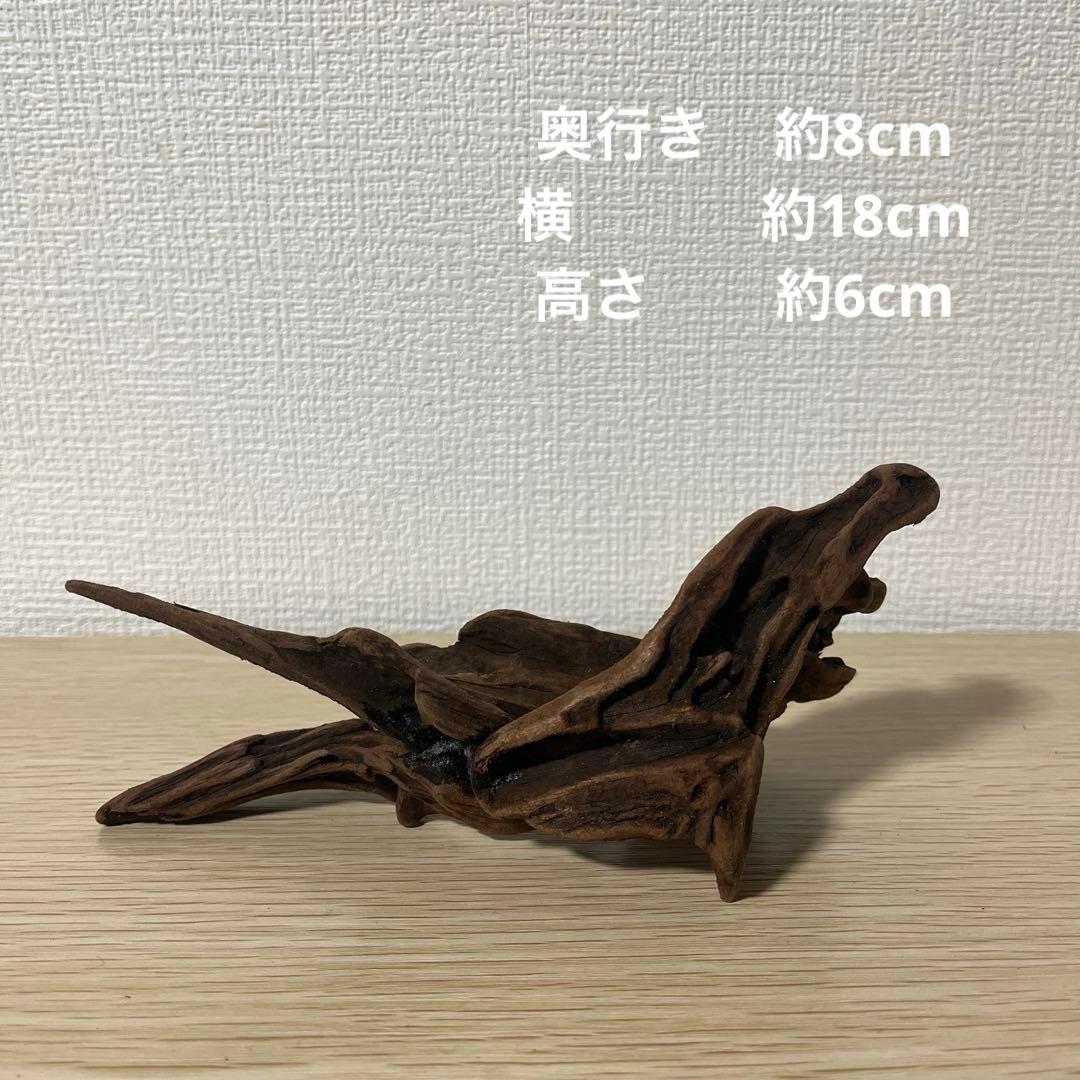 一点もの マングローブ９点まとめ売り✨レイアウト アクアリウム イモリウム 流木