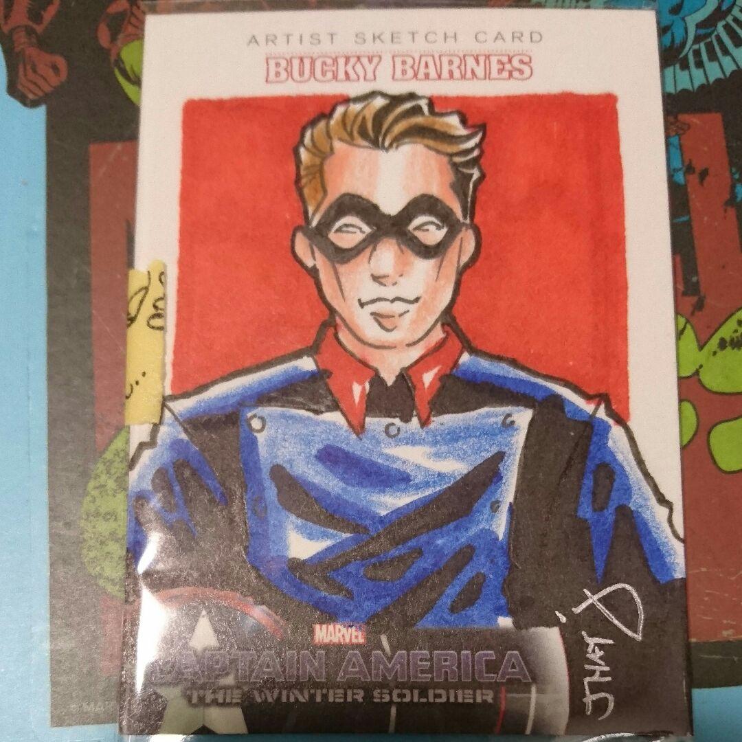 スケッチカード  バッキー