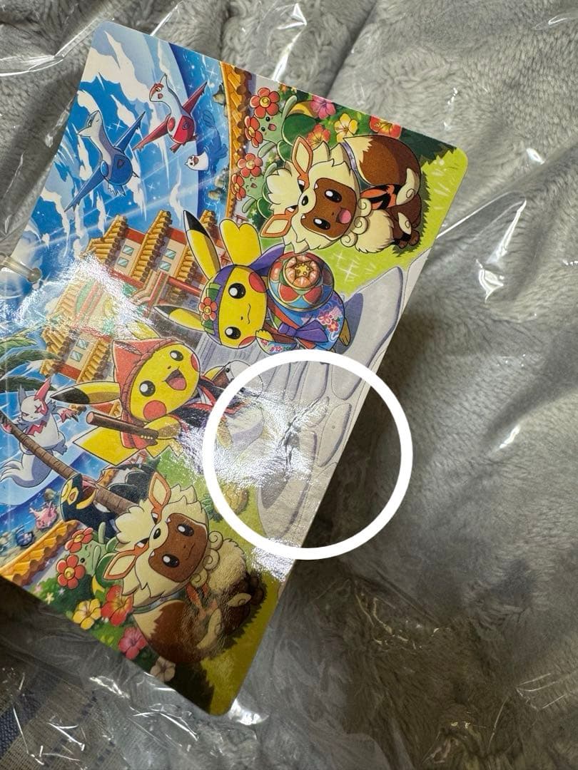 ウインディポンチョのイーブイ　ぬいぐるみ　セット