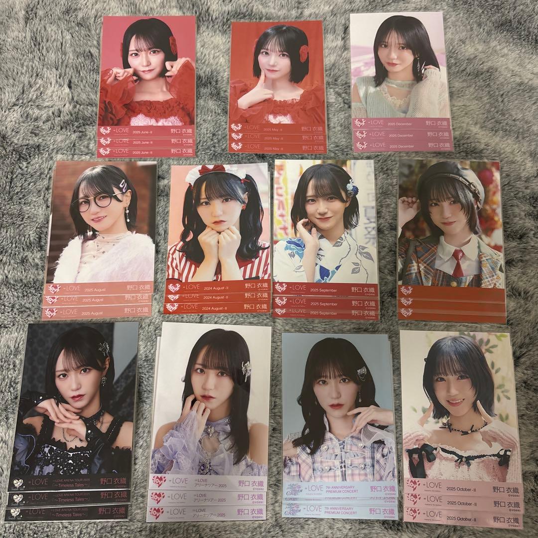 野口衣織 11コンプセット まとめ売り