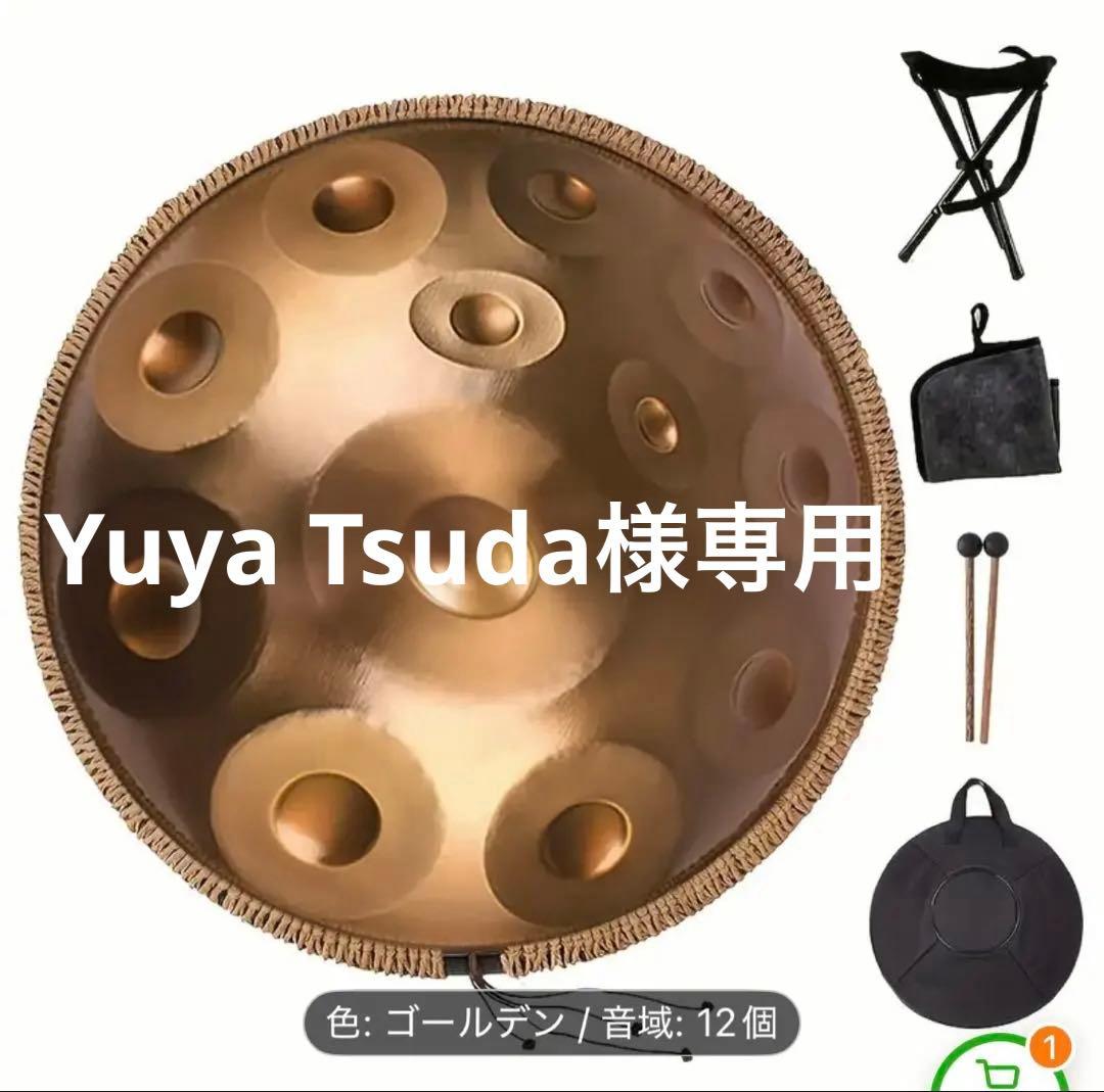 ハンドパン12音　440Hz 55.88cm Dマイナー