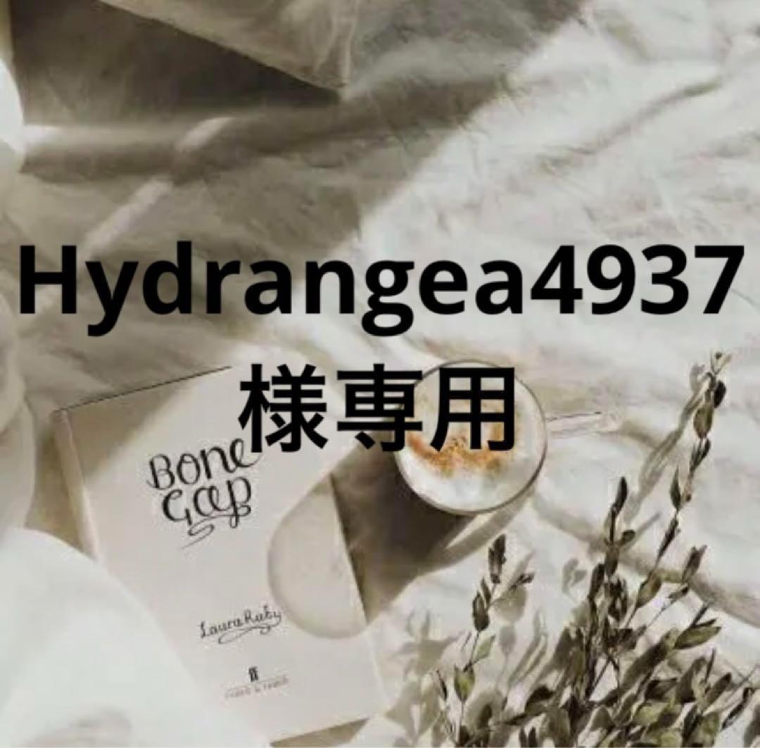 Hydrangea4937　0602