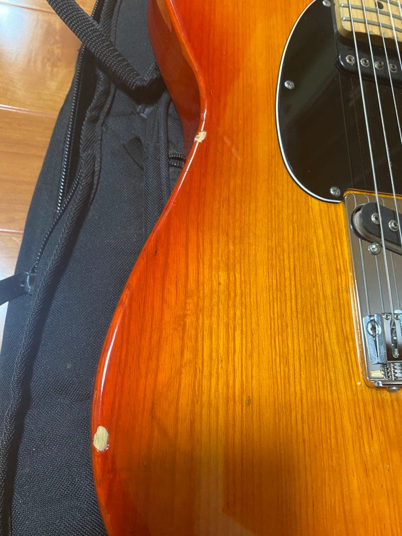 ギター SAKURA303