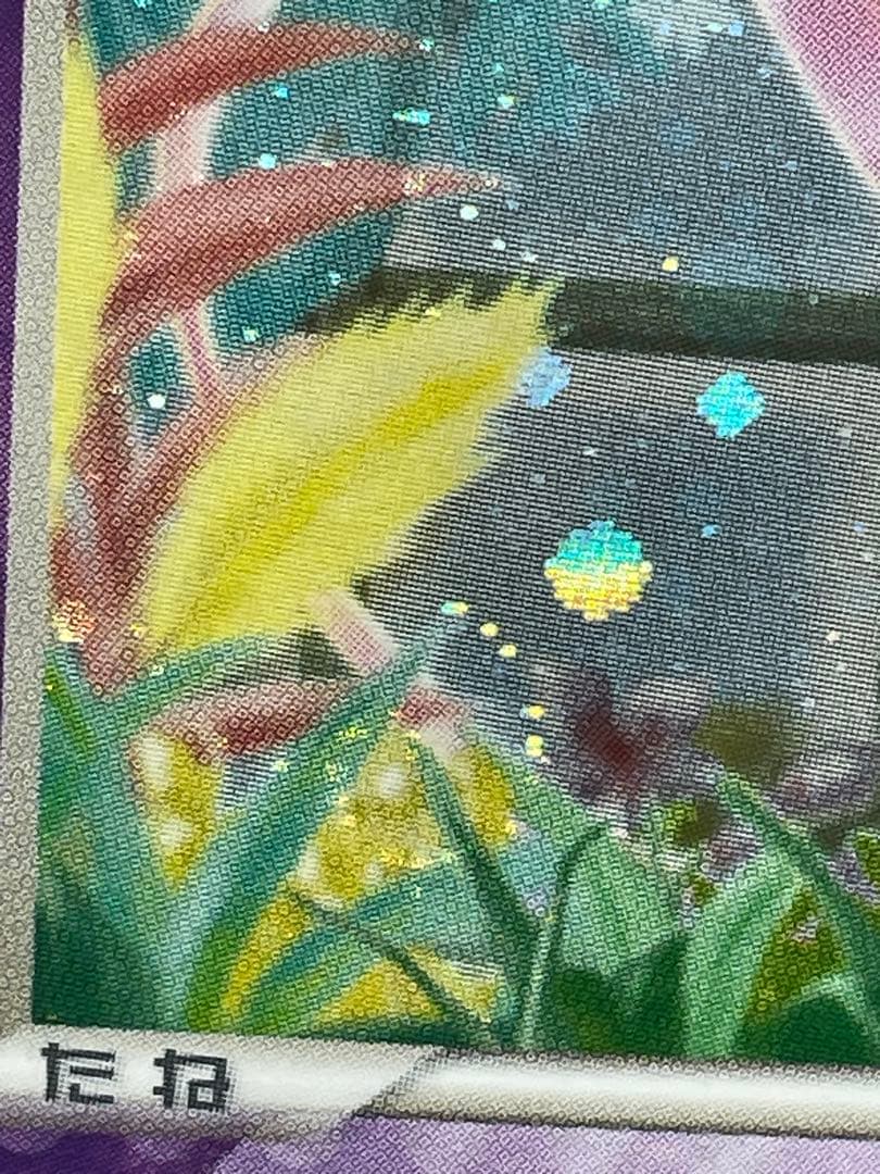 _____のミュウ PROMO ポケモンカードプレイヤーズクラブ PLAYプロモ