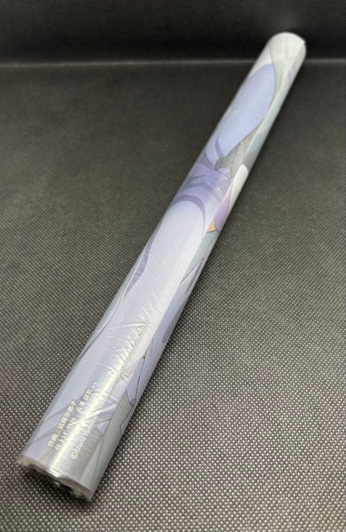 シャルロット・デュノア　A3クリアポスター　インフィニット・ストラトス