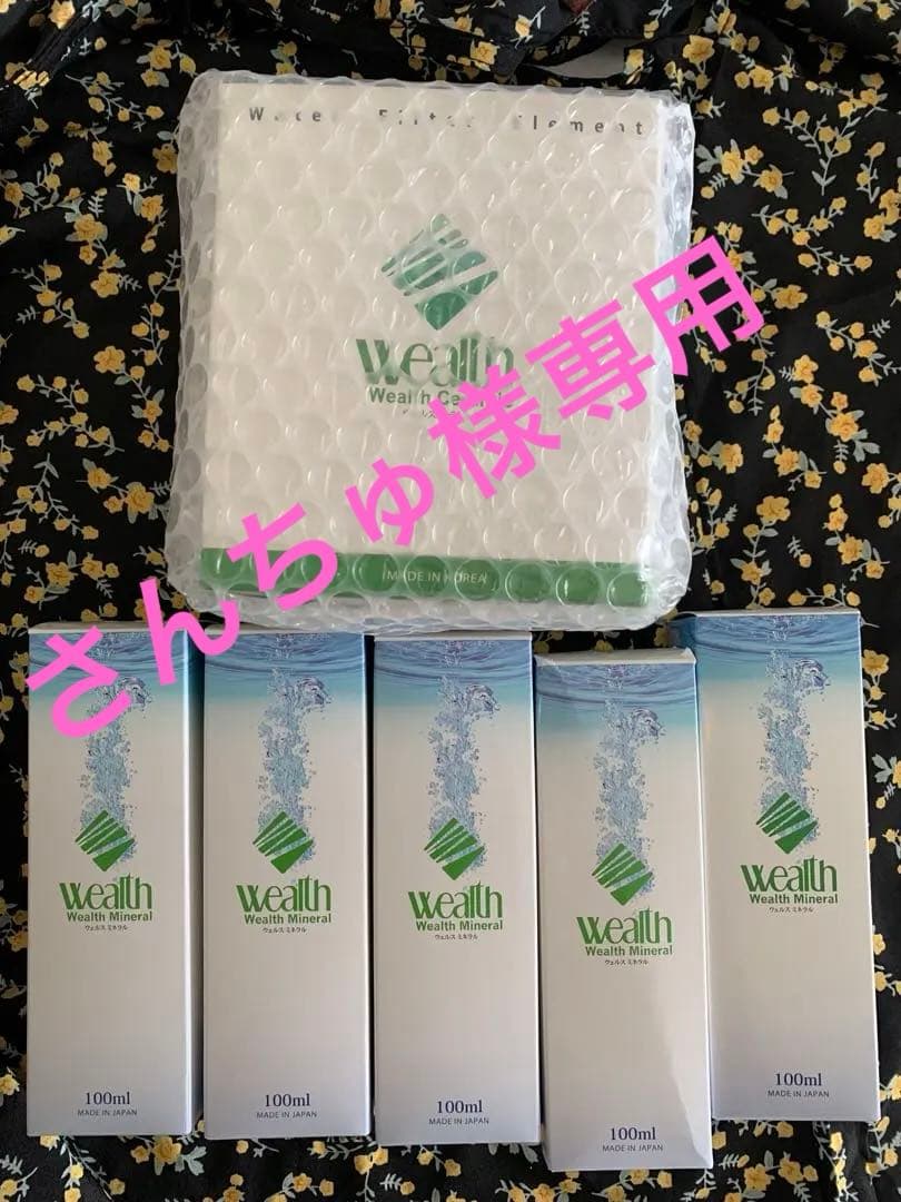ミネラル原液100ml 5本＆セラミックフィルターのセット