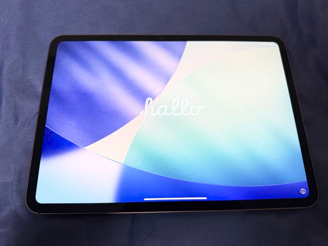 iPad Pro(M4) 11インチ 512GB Wi-Fi+Cellular