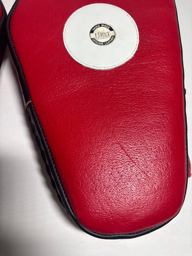 TWINS キックミット パンチングミット