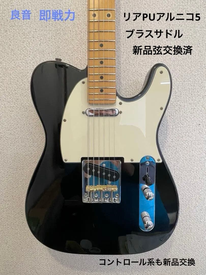 Bacchus バッカス テレキャスタータイプ