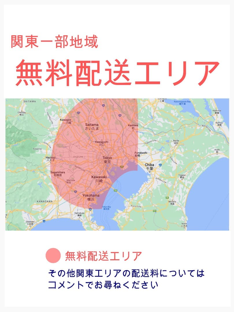 王様ギュットアニーズ⭐️16AHパナソニック子供乗せ電動アシスト自転車Y2358