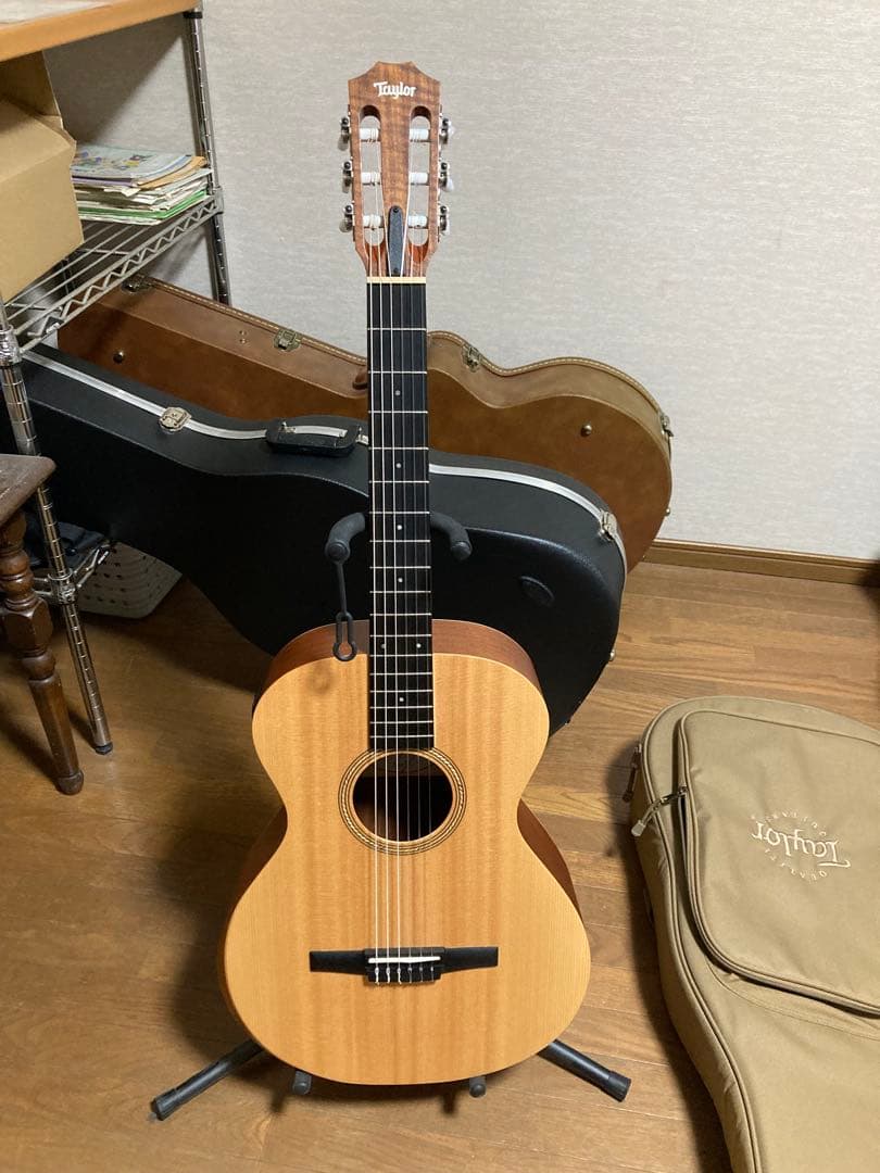 テイラーギター