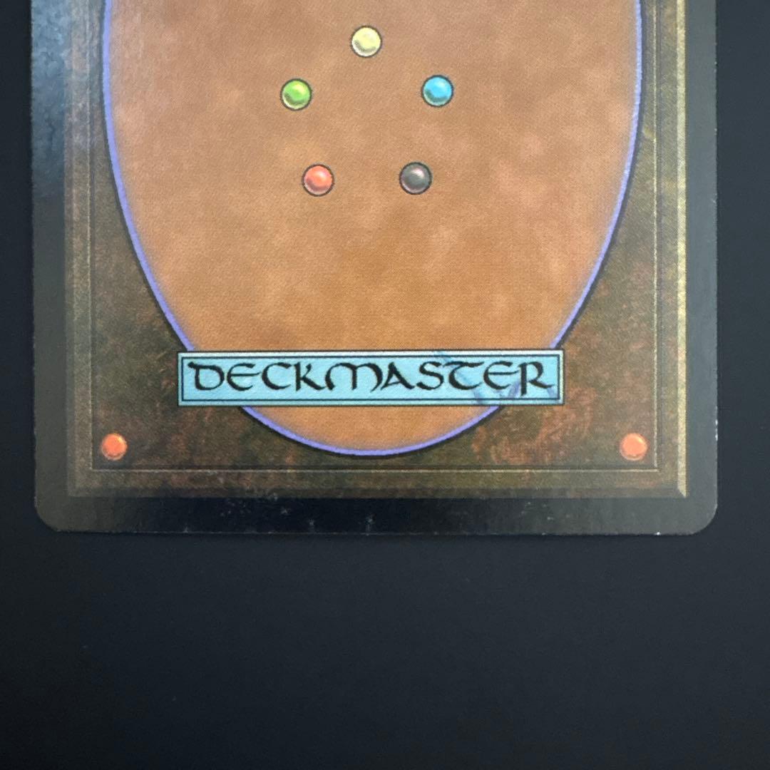 MTG foil 蓄積した知識　日本語