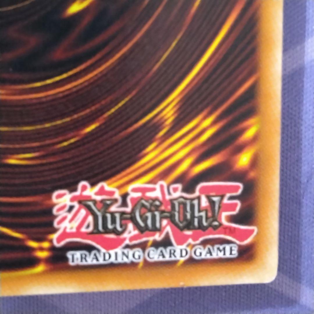 遊戯王　ブラックローズドラゴン　　英語　ゴースト　ホロ　csoc
