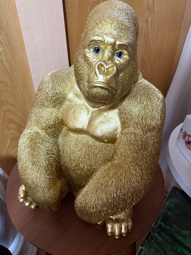 その他 goisu
