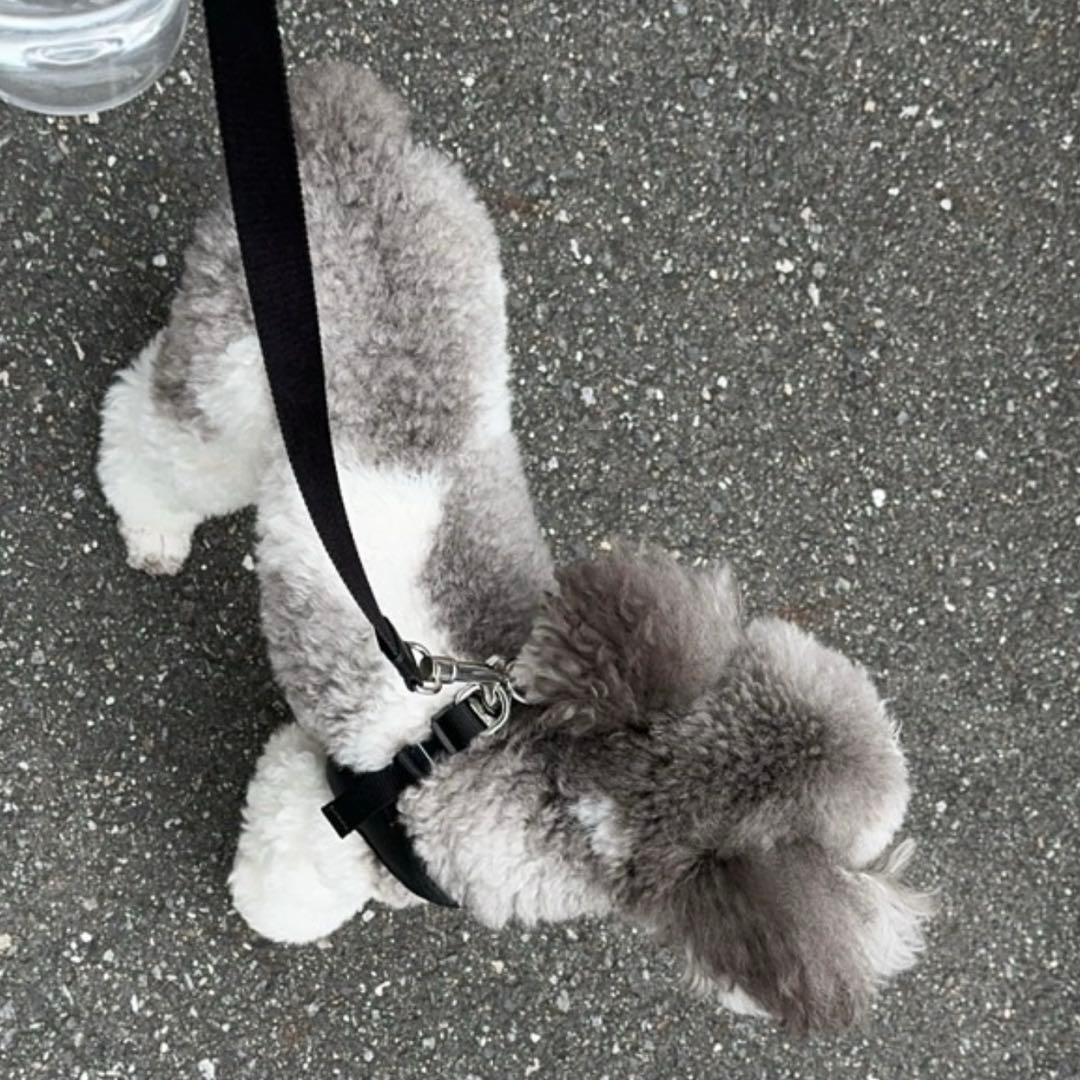 prada Sサイズ ブラック ナイロンハーネス