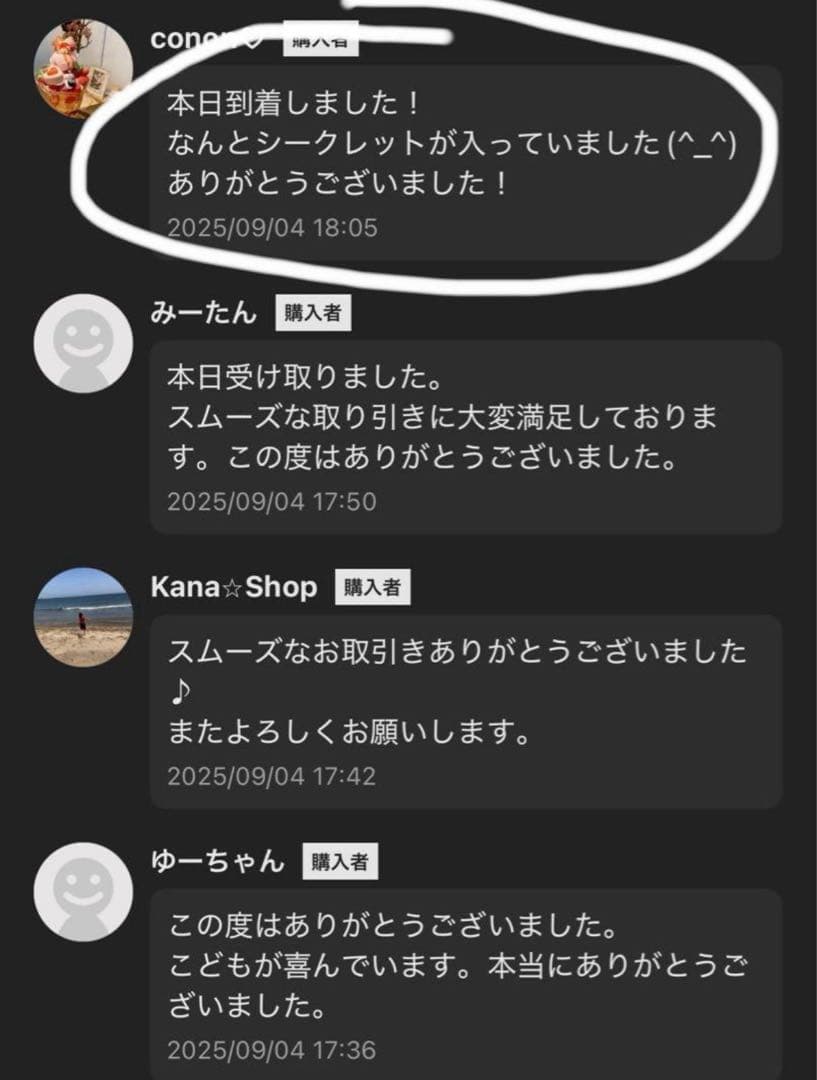 【正規品・未開封】Labubu Big into Energy 5箱