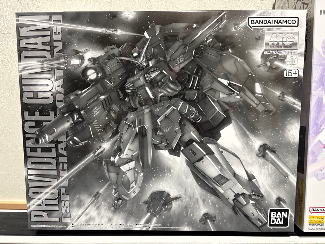 MG 強化型 ZZ-GUNDAM \"Ver.Ka\" 1/100 &プロヴィデンス