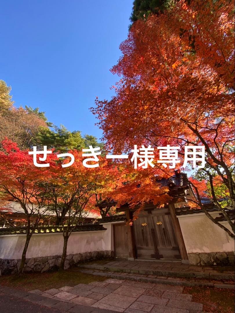 せっきー