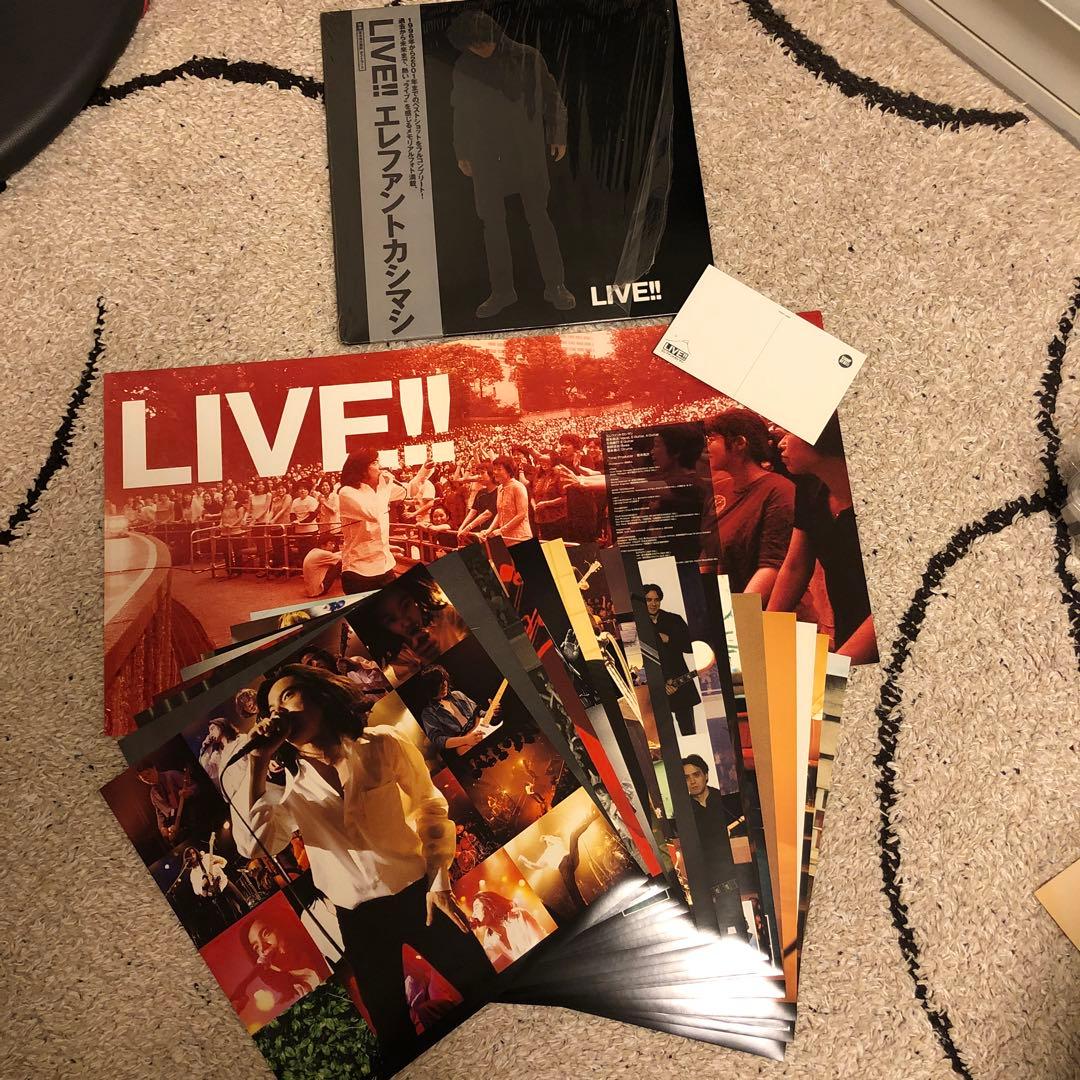 エレファントカシマシ/ツアー・パンフ LIVE !!