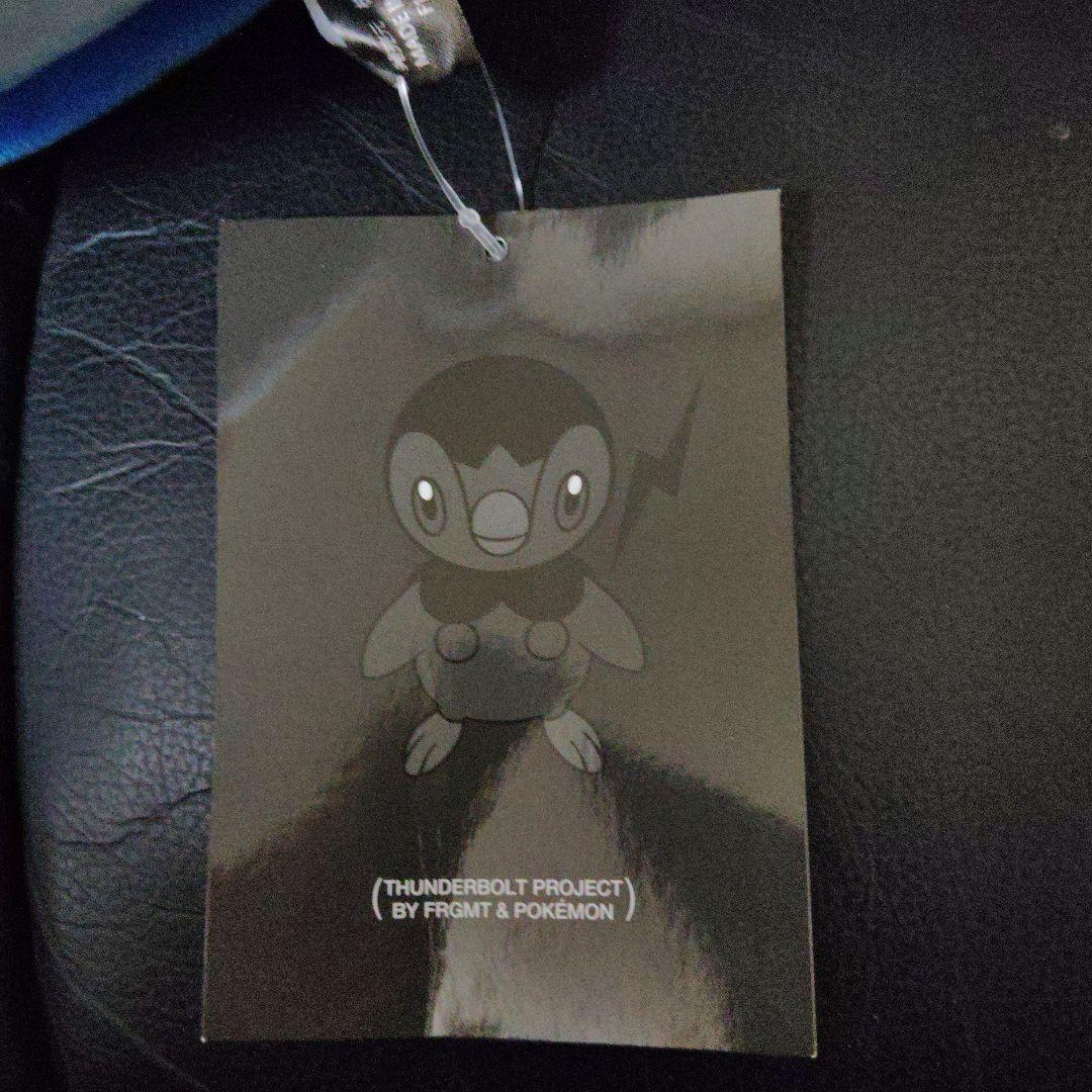 ポケモン★♥ポッチャマ♥★サンダーボルトプロジェクト★藤原ヒロシ★ぬいぐるみ