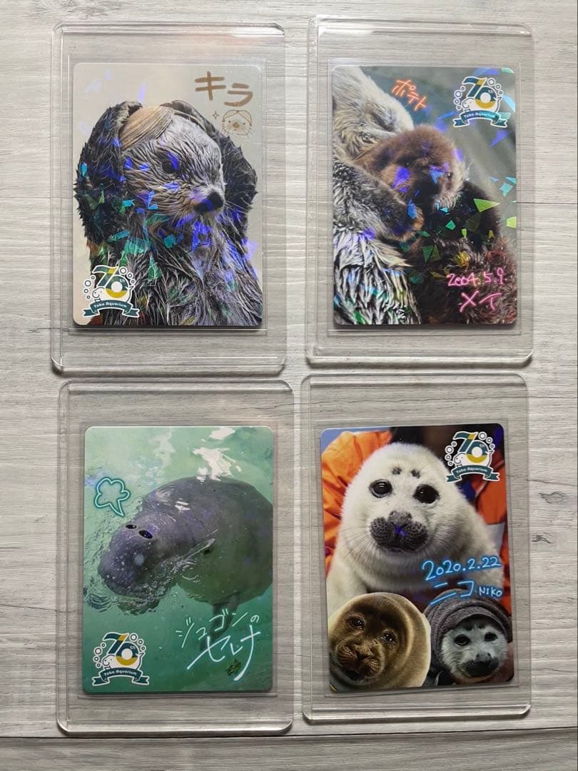 鳥羽水族館　コレクションカード　メイちゃんとポテト他4枚セット