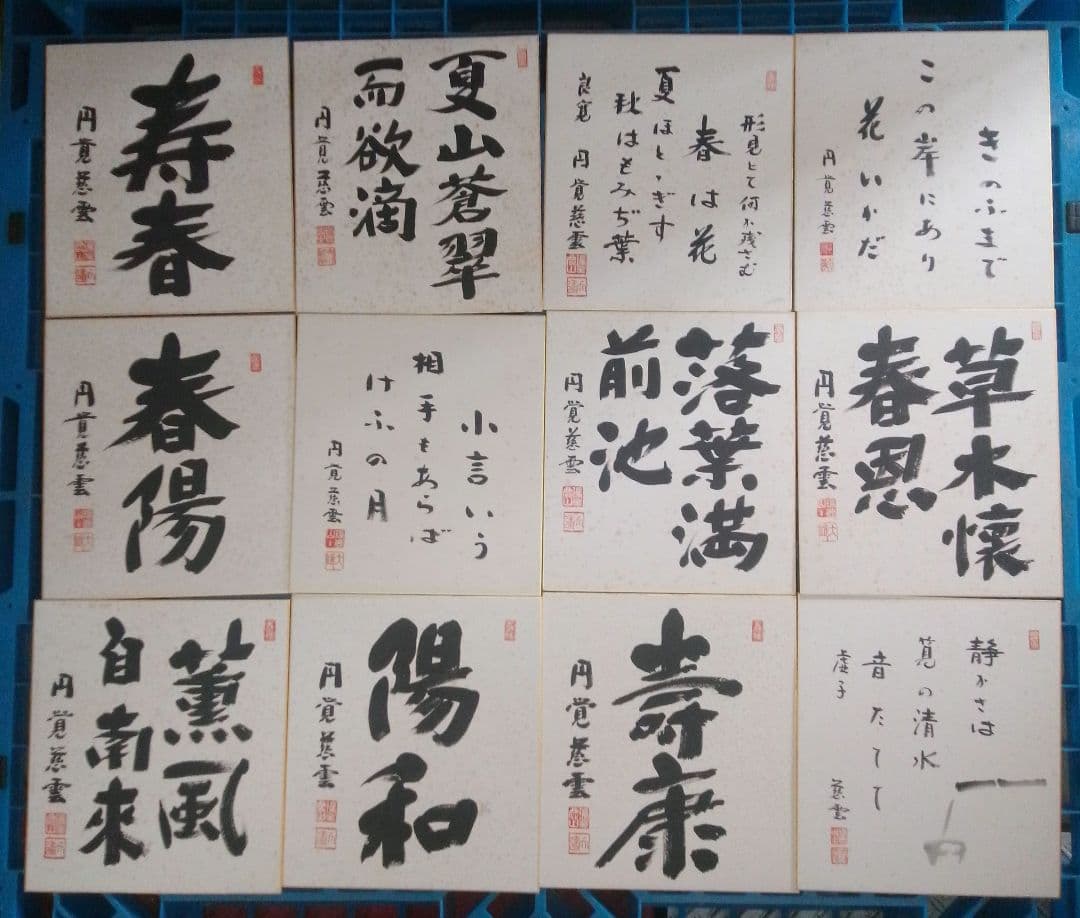 日本の書道 色紙 12枚セット 円覚慈雲