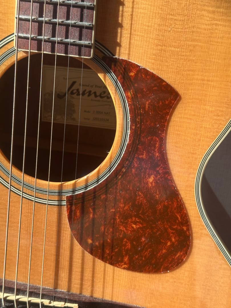 James J-300A NAT アコースティックギター ソフトケース付き