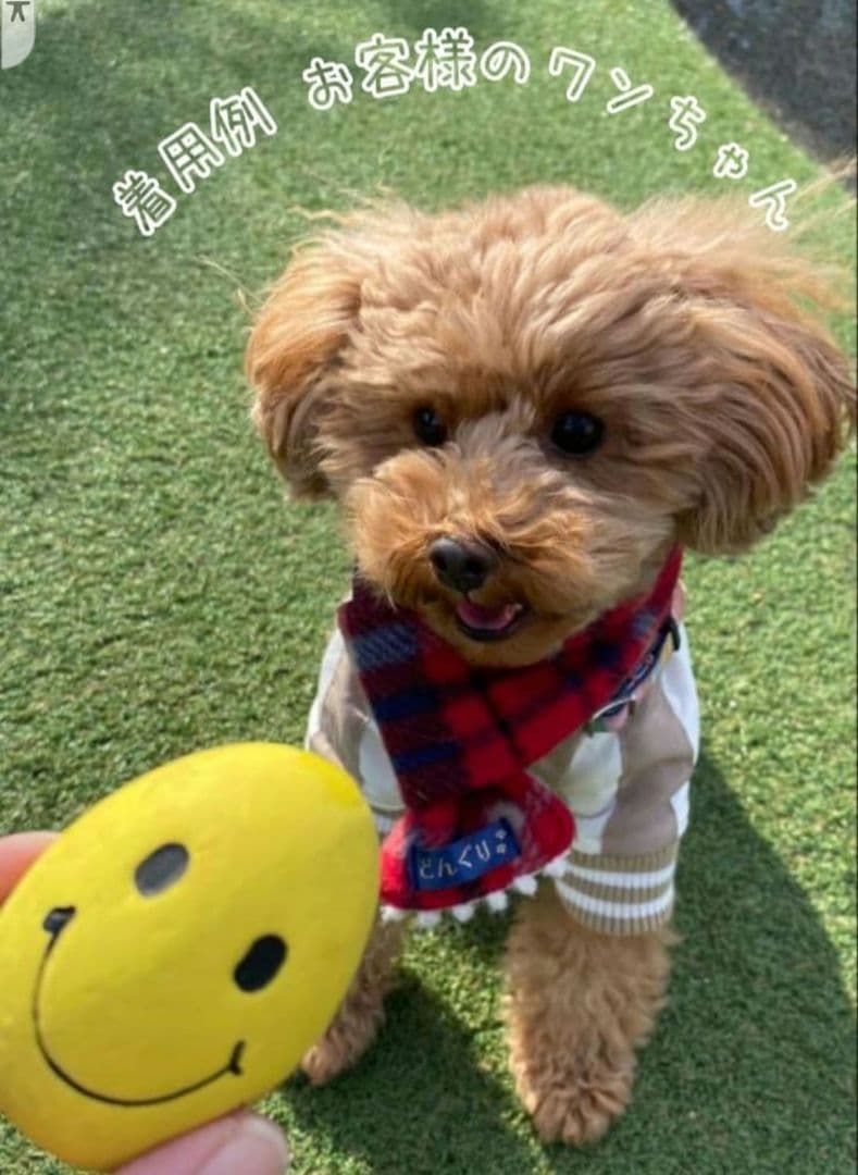 マフラー 犬用