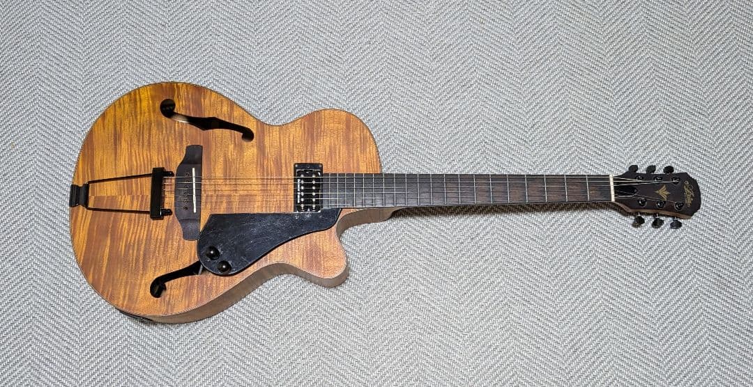 ギター Modified Aria FET-F2 with Seymour Duncan
