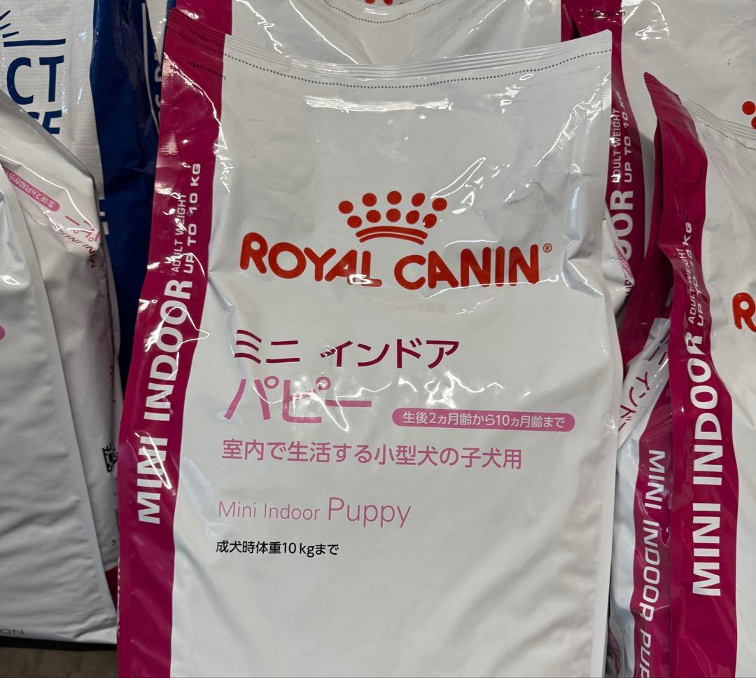 みぃ　ロイヤルカナン　ミニインドアパピー10kg×2 1つ目