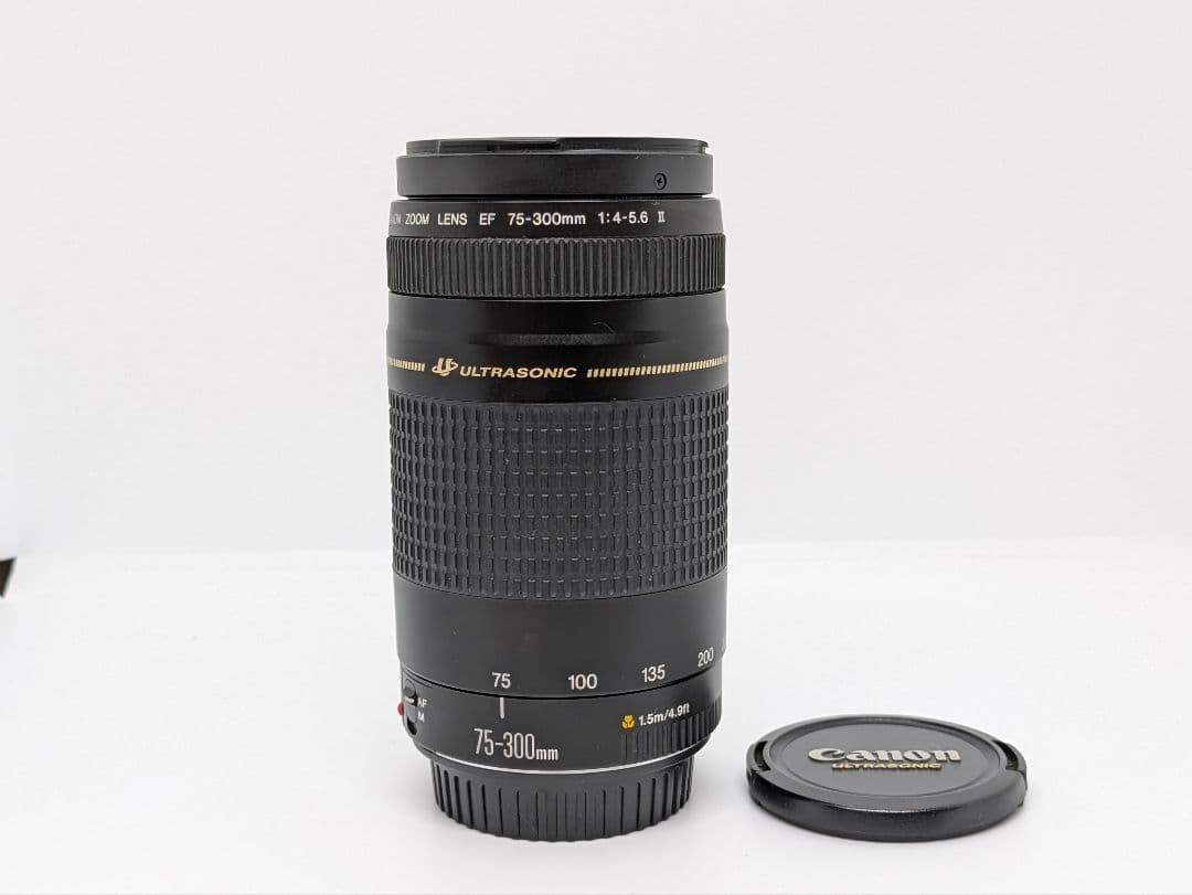 7月30日限定【超望遠レンズ】Canon EF 75-300mm Ⅱ USM