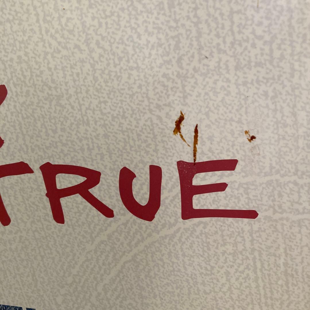 浅井健一　Levi's 501 ポップ　STAY TRUE