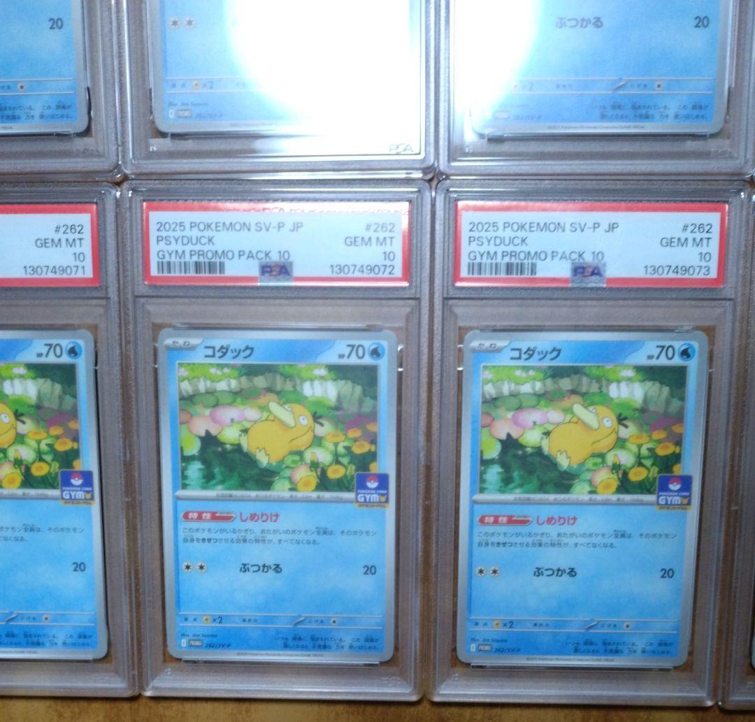 【PSA10】コダック しめりけ 262/SV-P ジムプロモ 10枚 連番